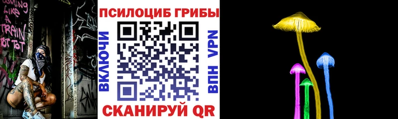 дарнет шоп  Верхнеуральск  Псилоцибиновые грибы прущие грибы 